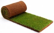 РУЛОННЫЙ ГАЗОН С УКЛАДКОЙ ВОЛГОГРАД