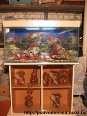 продаю аквариумы,  рыбок. В Саратове