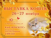 Выставка кошек