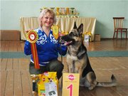 Чистопородные щенки Восточно-европейской овчарки.