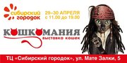 Выставка кошек