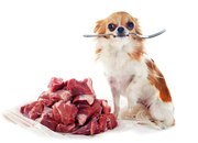 Мясо для животных